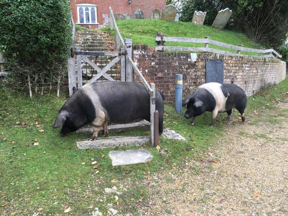 No 64 Bed And Breakfast Lymington Εξωτερικό φωτογραφία